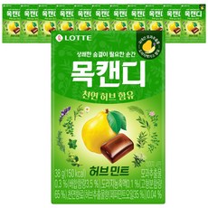 롯데제과 목캔디 허브민트, 38g, 12개