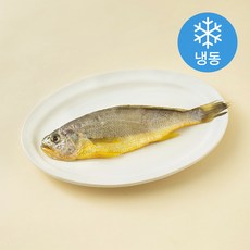 초록바다 품질 인증 굴비 (냉동), 1개, 140g