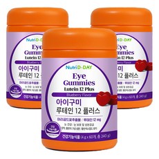 뉴트리디데이 아이구미 루테인 12 플러스, 60정, 3개 240g, 3개