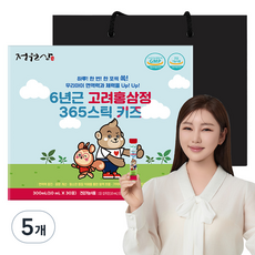 정원삼 6년근 고려홍삼정 365 스틱 키즈 30포 + 쇼핑백, 300ml, 5개
