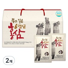 즙쟁이 뿌리 깊은 6년근 홍삼즙, 2.1L, 2개