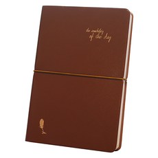 Iciel design 每日 ICL 日記 M 2025, 1個, 咖啡棕
