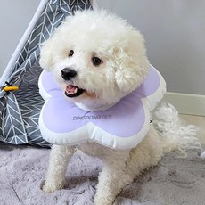 DING DONG PET 寵物雛菊花瓣圍脖, 藍色