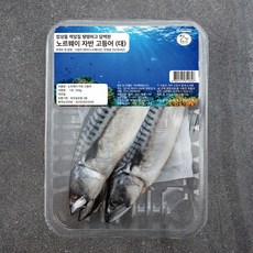 살맛나요 노르웨이 자반 고등어 대, 550g, 1개