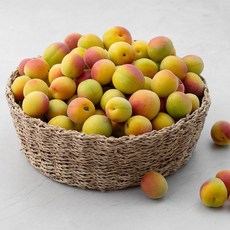 청년농부 하동 황매실 L, 5kg, 1개