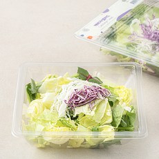 캐비지 샐러드, 1개, 65g