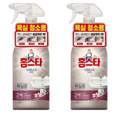 Mr.HomeStar 家事達 Byrlus清潔劑 浴室用, 750ml, 2個