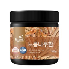 토종마을느릅나무