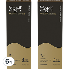 씨드비 물염색 비건 새치커버 염색약 40g 4회분, 미디엄브라운, 6개