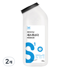 레인보우샵 세스퀴소다 프리미엄 톡톡이 주방세제, 450g, 2개