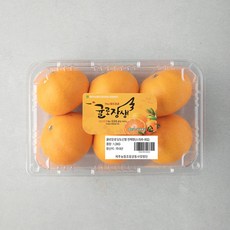 농협 천혜향, 1팩, 1.2kg