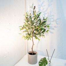 RYMD 조화 모던 올리브 나무, 혼합 색상, 1개