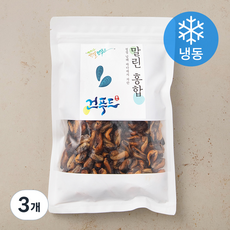 남해안 말린홍합 (냉동), 300g, 3개