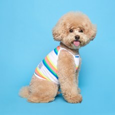 플로트 스트라이프 강아지 크롭 나시, 레인보우 스트라이프