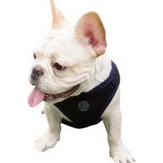 RealPet 4계절 슬림 조끼 하네스 6L, BLACK