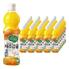 자연은 제주감귤 주스, 500ml, 40개