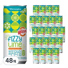 비타500 피지라임, 48개, 250ml