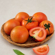 곰곰 달콤한 스테비아 완숙토마토, 1.5kg, 1개