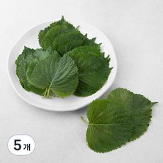 GAP 깻잎, 60g, 5팩