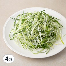 친환경 국내산 파채, 300g, 4개