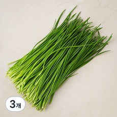 영양부추, 100g, 3개 100g, 3개