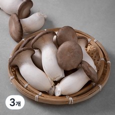 친환경 뿌리가 손질된 새송이버섯, 900g, 3개