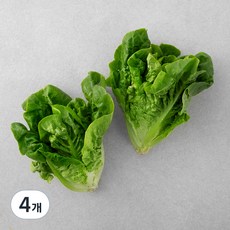 미니 로메인, 210g, 4개