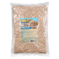 해바라기씨, 1kg, 1개