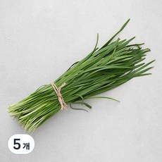 국내산 GAP 부추, 250g, 5개