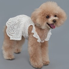 DOG-I 寵物蕾絲洋裝, 白色的