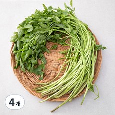 국내산 친환경 미나리, 200g, 4개