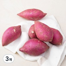 곰곰 햇 꿀고구마(햇) 700g, 3개