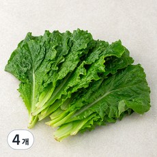 한끼 로메인, 80g, 4개