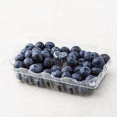 온새미 무농약 인증 국내산 블루베리, 200g, 1개