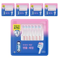 오랄비 엑스퍼트 9000 칫솔, 5개, 6개입