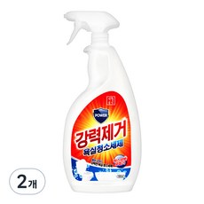 생활공식 강력제거 욕실청소세제, 2개, 600ml