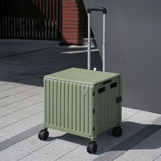 로티홈시스 접이식 쇼핑 네모 카트, 세이지 그린, 1개 세이지 그린, 1개