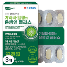 코오롱제약 기억력 혈행엔 은행잎 플러스, 30정, 3개