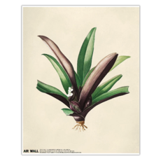 AIRTEC Air Wall Air Fresh 壁貼海報, 40cm x 50cm 聚酯纖維壁貼海報, 50 x 40cm
