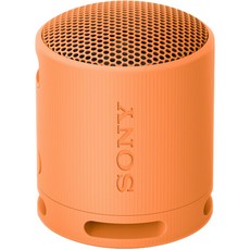 소니 휴대용 블루투스 스피커 SRS-XB100, 오렌지