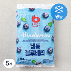 베리밸리 미국산 블루베리 (냉동), 1kg, 5개