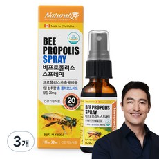 네추럴라이즈 비프로폴리스 스프레이, 3개, 30ml