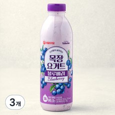서울우유 신선함이 살아있는 목장 요거트 블루베리, 750ml, 1개입, 3개 750ml, 3개