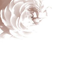 614304524395613-24cbdea6-5f2b-4ed3-858a-5ff986543c03.jpg