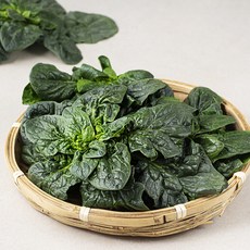곰곰 신안 비금도 시금치, 200g, 1봉