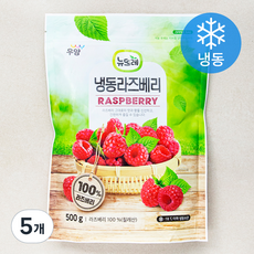 냉동라즈베리 뉴뜨레 냉동라즈베리 (냉동) 500g 5개