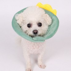 DING DONG PET 狗狗可愛大象防咬頸圈, 綠色