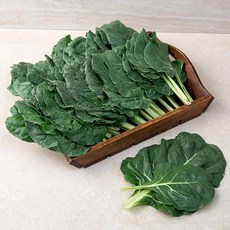 국내산 근대, 1kg, 1개