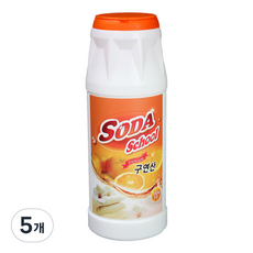 프리미엄 용기형 구연산, 450g, 5개