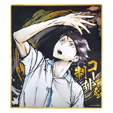 Haikyu 排球少年!! 激鬥!!閃亮色紙 及川徹, 15歲以上適用, 1色, 1個